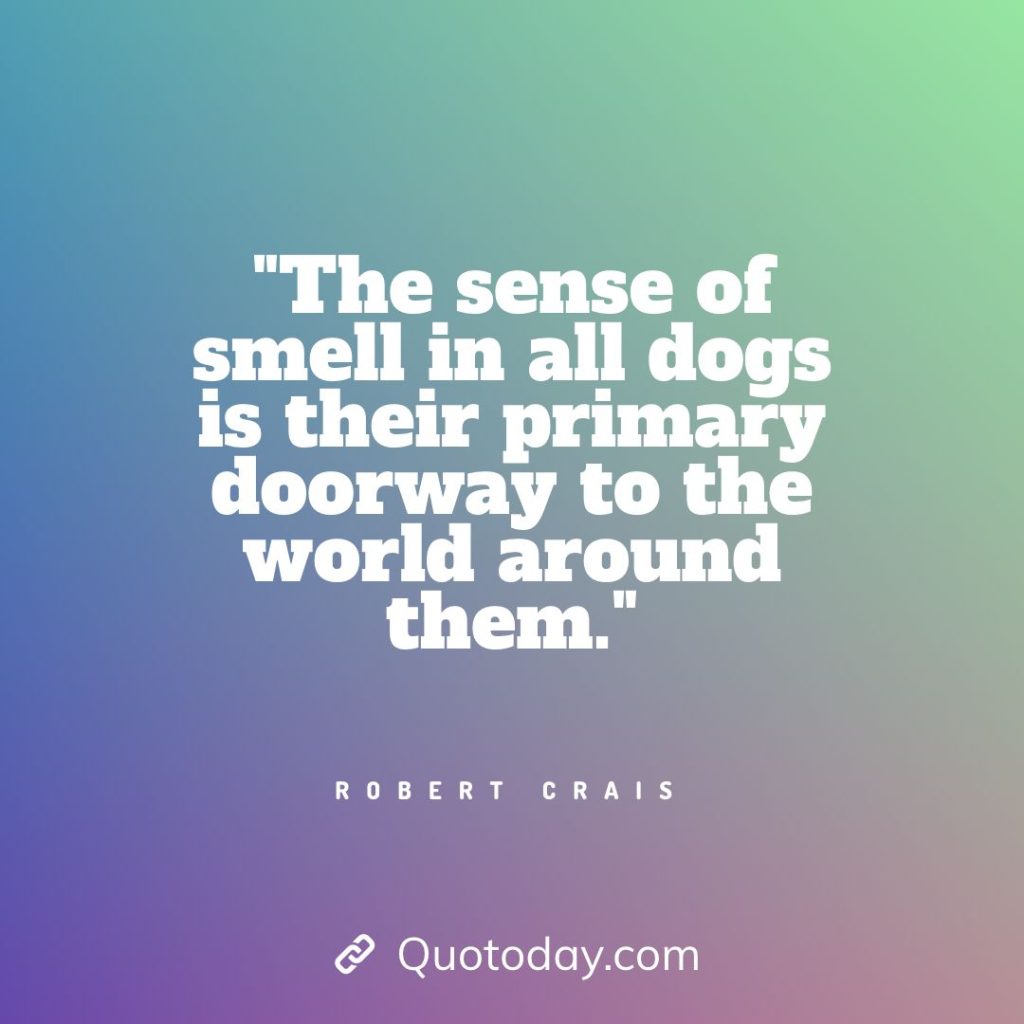 4. "The sense of smell in all dogs is their primary doorway to the world around them." - Robert Crais quotes about doorways