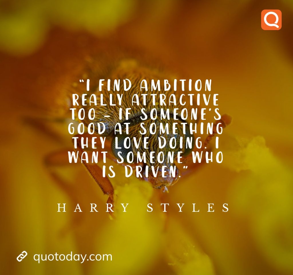 23. "I find ambition really attractive too – if someone’s good at something they love doing. I want someone who is driven."- Harry Styles quotes