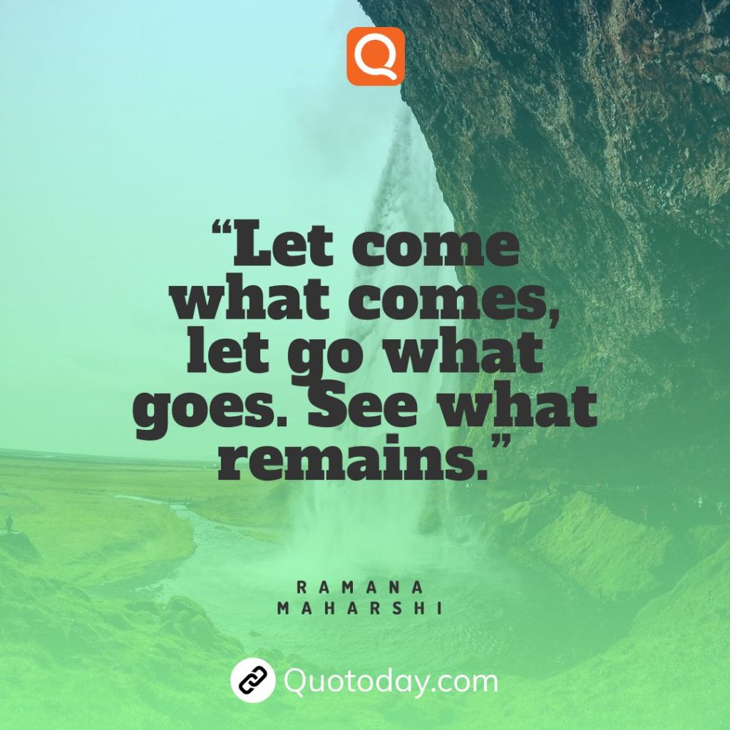 29. “Let come what comes, let go what goes. See what remains.”— Ramana Maharshi