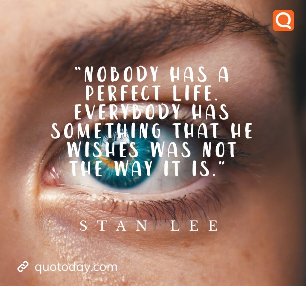 "Nobody has a perfect life. Everybody has something that he wishes was not the way it is.” – Stan Lee