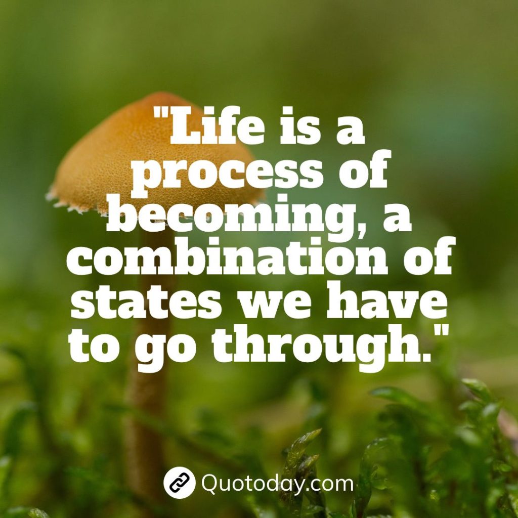 "Life is a process of becoming, a combination of states we have to go through."  – Anais Nin